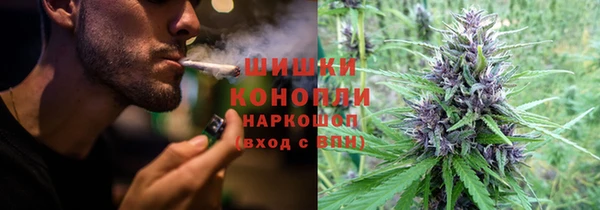 MESCALINE Гусь-Хрустальный